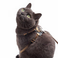 wee Lightweight Cat Harness