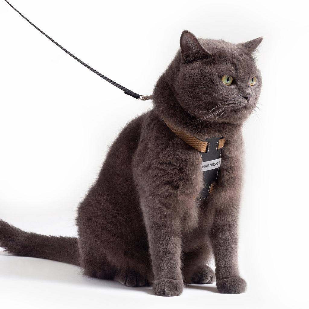 wee Lightweight Cat Harness