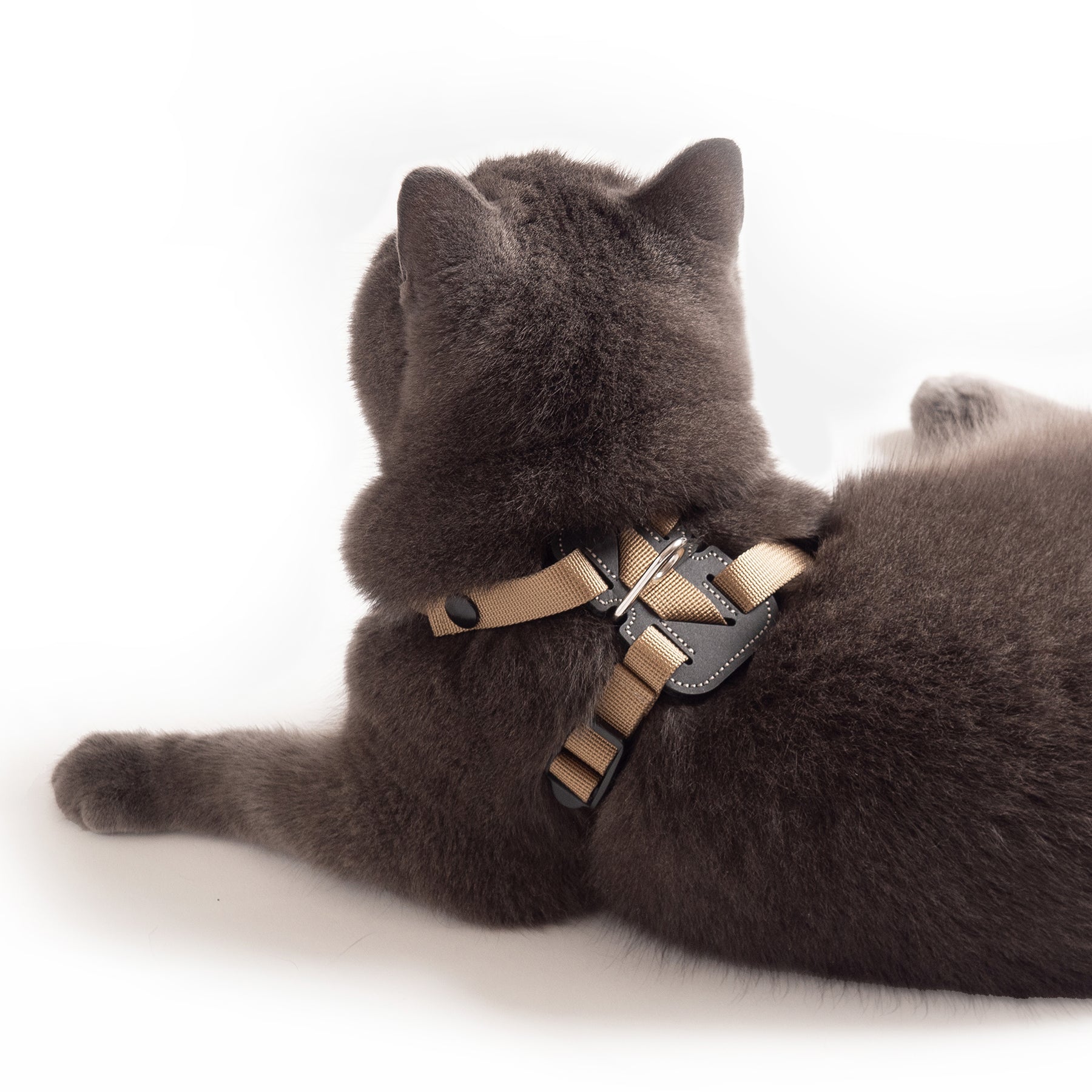wee Lightweight Cat Harness